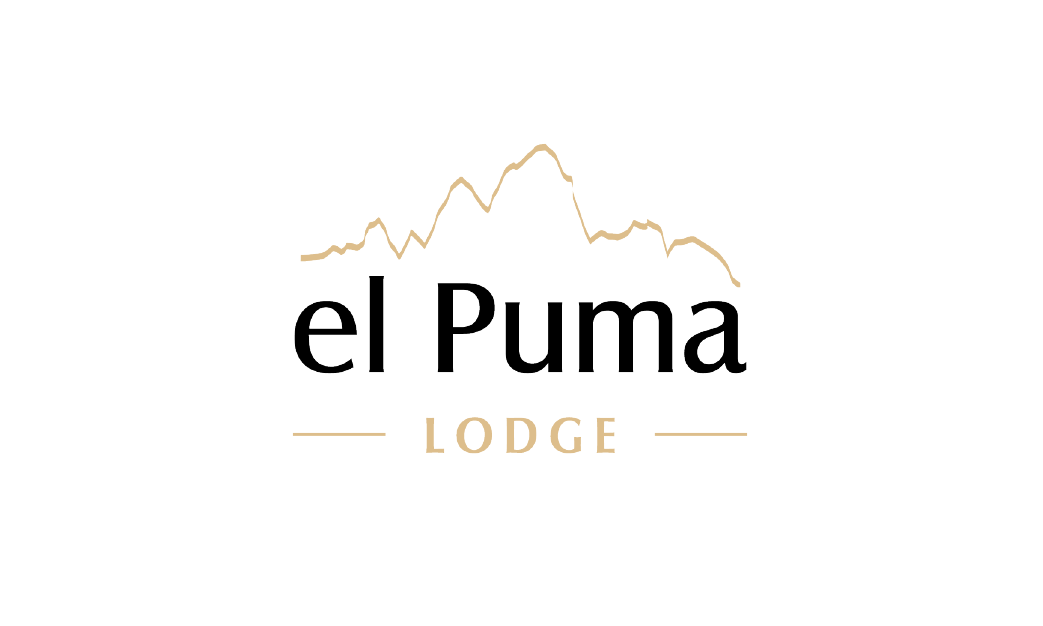 el puma logo